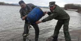 Момент спасения молоди из отшнурованного от Амура водоема http://www.gazetaeao.ru/gazetiy/birobidjanskaya-zvezda/3216934-06.05.2011/spasti-molodiy.html