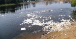 Грязный залив в черте города возмущает некоторых жителей Биробиджана Галина Высоцкая