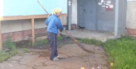 Приучить биробиджанцев к чистоте не помогли ни мусоровозы, ни контейнеры Наталья Мурье