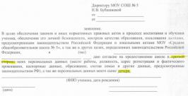 Закон о защите персональных данных нарушается в биробиджанской школе №5 Игорь и Светлана