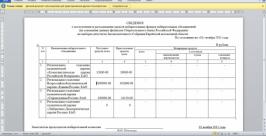 До 1 ноября Справедливая Россия потратила на избирательную кампанию в ЕАО больше других РИА ЕАОmedia