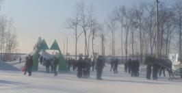 Большинство жителей Биробиджана встретили Новый год в кругу семьи Юрий Скачков