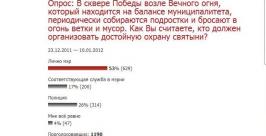 Мэр должен организовать охрану Вечного огня в Биробиджане РИА ЕАОmedia