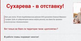 Сухарева - в отставку РИА ЕАОmedia