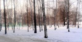 В ЕАО сегодня немного потеплеет Марина Померанцева