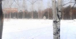 Небольшой снег пройдет во всех районах ЕАО, кроме Октябрьского Марина Померанцева