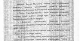 Распоряжение об увольнении главврача РИА ЕАОmedia
