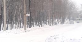 Небольшой снег пройдет сегодня в ЕАО Юрий Скачков