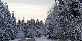Движение автобусов на трассе Амур открыто http://images.yandex.ru/yandsearch?p=2&text=фото движение автобусов по зимней тр�