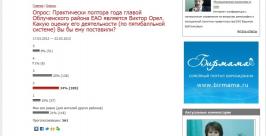 Результаты интернет-опроса РИА ЕАОmedia