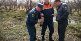 Авиабомба в селе Лазарево ЕАО обезврежена пресс-служба ГУ МЧС России по ЕАО