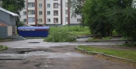 Ветер повалил дерево Народный корреспондет