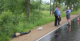 Водитель насмерть сбил пешехода и скрылся с места ДТП пресс-служба областной ГИБДД