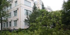 Могло быть и хуже Владимир Иващенко