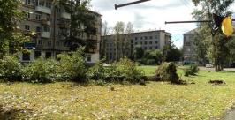 Вихревой хвост &quotБолавена&quot продолжает валить деревья в Биробиджане   Светлана Бедарева