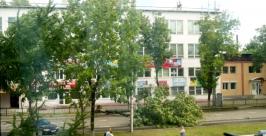 Жертвами падающего ясеня в Биробиджане едва не стали два автомобиля   Алексей Тщедушнов