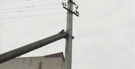 Энергетический коллапс в Биробиджане спровоцировала автомобильная авария ГТРК Бира