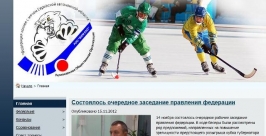 Официальный сайт появился у Федерации хоккея с мячом ЕАО РИА ЕАОmedia