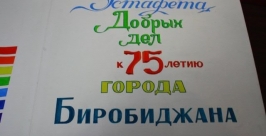 Эстафета Добрых дел финишировала в Биробиджане Владимир Иващенко 