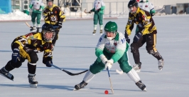 Первенство России по хоккею с мячом http://hcnadezhda.narod.ru/foto/2012-2013/per/13/13.htm