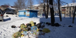Свалка рядом с контейнерными площадками образовалась в Биробиджане Владимир Иващенко