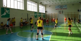 Турнир по волейболу РИА ЕАОmedia