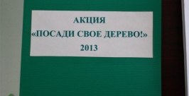 Обсуждение проведения акции Посади свое дерево РИА ЕАОmedia
