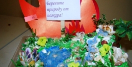 Итоги конкурса &quotМы за безопасное будущее!&quot подвели в ЕАО пресс-служба ГУ МЧС России по ЕАО