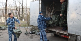 Элитные саженцы доставлены в Биробиджан из села Кипарисово Приморского края РИА EAOmedia