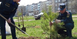Сотрудники МЧС озеленили Ломоносовскую аллею в Биробиджане пресс-служба ГУ МЧС России по ЕАО