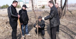 Судебные приставы взялись за озеленение Биробиджана Пресс-служба ФССП России по ЕАО