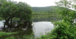 Выйти из берегов может р. Амур в Смидовичском районе ЕАО в воскресенье, 16 июня Пресс-служба ГУ МЧС России по ЕАО