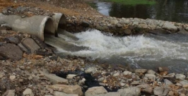 Часть канализационных стоков попадает в главную водную артерию Биробиджана Анатолий Клименков, газета Биробиджанская звезда