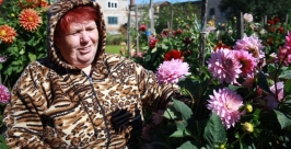 Участница конкурса на лучшую усадьбу в Биробиджане вырастила 103 сорта георгинов ИА EAOmedia