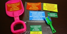 Владельцев биробиджанских собак попросят убирать за своими питомцами корр. ИА ЕАОmedia