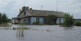 Село Новое Из архива семьи Касаткиных