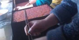 Рыбоводы Облученского района ЕАО побили 10-летний рекорд по закладке икры осенней кеты Виктор Горелов, &quotБиробиджанер Штерн&quot