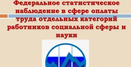 Показатель соотношения уровня зарплаты к средней по области Сайт Росстата 