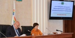 Заседание Законодательного Собрания ЕАО Константин Земляникин