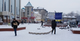 Новые типы рекламных конструкций устанавливают в Биробиджане Наталья Баграновская