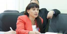 Светлана Тромса: Юбилей ЕАО плавно перейдет в фестиваль еврейской культуры и искусства Александр Шикирянский, ИА ЕАОmedia