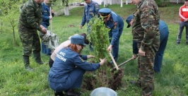 Всероссийский День леса отметили в Биробиджане Владимир Иващенко