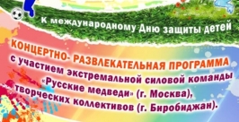 Акция Исполни детскую мечту Фото предоставлено Управлением по внутренней политике ЕАО