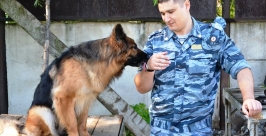 День кинолога Пресс-служба ФГКУ ОВО УМВД по ЕАО