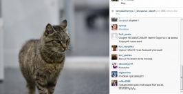 Матроска обзавелась аккаунтами в социальных сетях Скриншот с Instagram