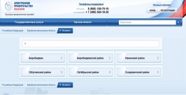 Скриншот сайта портала госуслуг http://www.gosuslugi.ru/pgu/