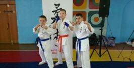 Спортсмены из ЕАО удачно выступили в новогоднем турнире по джиу-джитсу во Владивостоке Из архива Сергея Пахомовича