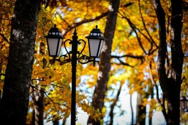 Тематическое фото ИА ЕАОMedia