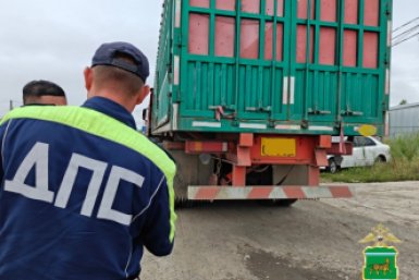 Тематическое фото УМВД России по ЕАО
