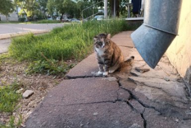 Начинаем рабочий день с полезной утренней подборки — гороскопа и погоды на 20 октября